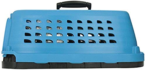 Petmate Compass Fashion Kennel Cat and Dog Kennel 4 Vibrant Colors 2 Sizes