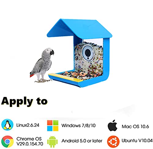 bird feeder smart camera