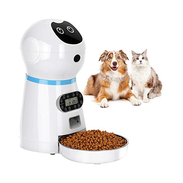 automatic cat feeder with timer