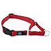 Max and Neo Nylon Martingale Collar - We Donate a Collar to a Dog Rescue for Every Collar Sold (Medium/Large, RED)
