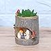 TINKSKY Cute Hedgehog Flower Sedum Succulent Pot Planter Bonsai Trough Box Plant Bed Office Home Garden Pot Decoration