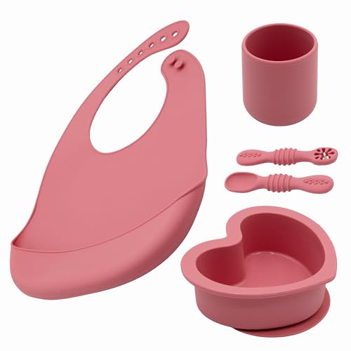 BabyX Silicone Baby Starter Kit, 5 Pieces First Feeding Set, Including Training…
