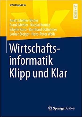 Wirtschaftsinformatik Klipp Und Klar Wiwi Klipp Klar Mehler Bicher Anett Mehler Frank Amazon De Bucher