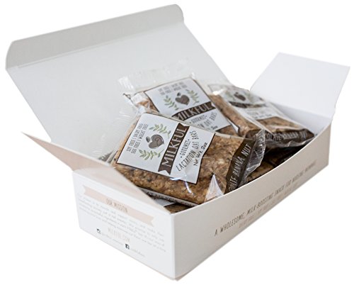 MILKFUL Lactation Bars- Wholesome Alternative to Lactation Cookies - Lactation Supplement for Breastfeeding Moms. Supports Breast Milk Supply. (6 Bars- Chocolate Chip/Banana) Allergen Free Mommy Snack