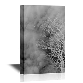 Canvas Wall Art - Tree Branches Against Cloudy Sky in Black and White - Gallery Wrap Modern Home Art | Ready to Hang - 12x18 inches