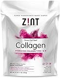 Collagen Hydrolysate Protein Powder (1 Lb.) - Hydrolyzed Kosher Beef Collagen Peptides - Pasture-Raised - Organic Non-GMO Certified