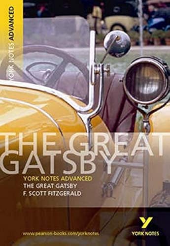 Download The Great Gatsby- York Notes Advanced PDF