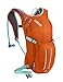 CamelBak Women's 2016 Magic Hydration Pack, Flame/Aruba Blue