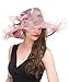 Saferin Lady Tea party Kentucky Derby Church Wedding Dress Church Hat Bridal Shower (SF4-Dark Pink)