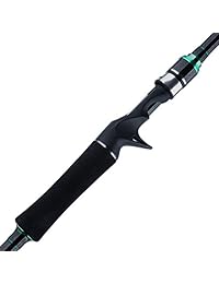 BERRYPRO Caña de pescar de grafito en la caña de pescar de varilla giratoria de varillas de baitcasting de agua salada 7'0 '' (8 18LB 10 30G)