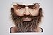 Mustaches Self Adhesive Fake Mustache Beard and Eyebrows, Novelty, Realistic False Facial Hair, Costume Accessory for Adults, Brown and Gray Color