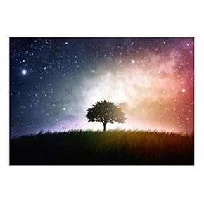 A Lone Tree Sitting in a Field with...