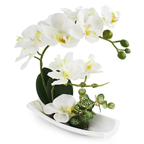 Amazon Com Livilan Artificial Orchids Arrangements With White