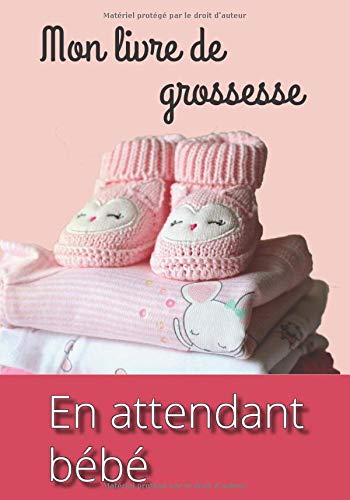 Mon Livre De Grossesse En Attendant Bebe Petit Journal Intime De Ma Grossesse French Edition Lauriancler Joseph Amazon Com Books