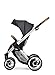 Mutsy Evo Urban Nomad Stroller, Silver Chassis, Dark Grey