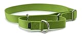 PetSafe Small Martingale Collar, 3/4