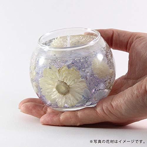 Amazon ボタニカル ジェルキャンドル 手作り キット 花材5種 プリザーブドフラワー オンライン通販