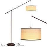 Brightech Hudson 2 - Contemporary Arc Floor Lamp Stands Up Over The Couch from Behind - Hanging Pendant Light, Alexa Compatible - Mid Century Modern Living Room Lamp - W. LED Bulb - Oil Rubbed Bronze
