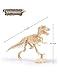 AKINGSHOP Dinosaur Excavation Kits for Kids,Dino Dig Kits T-Rex,Dinosaur Fossil Excavation Kits for Kids,Children's Popular Science Education Toys - Dinosaur DIY Toys (T-Rex), White