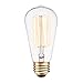 Globe Electric 01321 60W Vintage Edison S60 Squirrel Cage Incandescent Filament Light Bulb, E26 Base, 220 Lumens, 2200 Kelvin, Edison Bulbs, Vintage Light Bulbs, E26 Light Bulb, Home Improvement