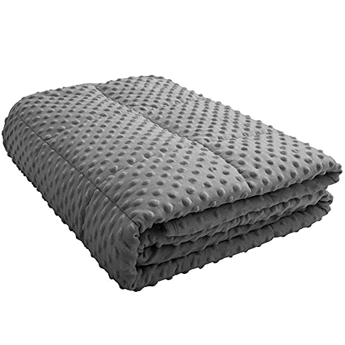 ALANSMA Reversible Weighted Blanket for All Season, Luxury Velvet, Warm