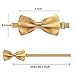 Alizeal Men's Pre-Tied Adjustable Length Solid Color Tuxedo Party Bow Tie, Champagne
