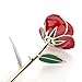 Febou 24k Gold Rose, Long Stem Dipped Rose in Gift Box for Valentine's Day, Mother's Day, Anniversary, Birthday (Rose with stand, Red)