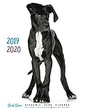 2019 - 2020 Great Dane Academic Year Planner: Daily - Weekly - Monthly Calendars August 2019 - July by 