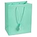 Caddy Bay Collection 10 pcs Large Fancy Robin's Egg Blue Glossy Finish Shopping Paper Gift Sales Tote Bags with Blank Message Tag 7.75