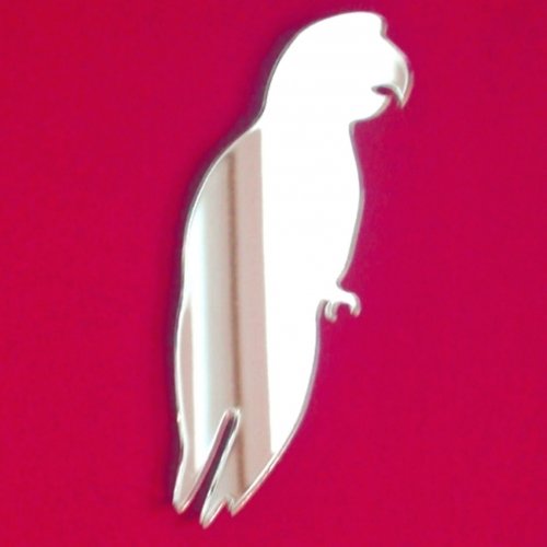 Super Cool Creations Parrot Mirror - 60cm x 33cm