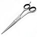 Professional Hair cutting Scissor Barber Salon