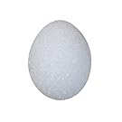 FloraCraft Styrofoam Eggs, 3 1/6-Inch-by-2 5/16-Inch White Egg,  Duck, 4 Per Package