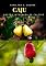Livro Caju