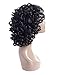Synthetic Afro Curly Hair Wigs for Black Woman Short Kinky Hair Jet Black Heat Resistance Fiber 14
