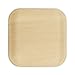 Verterra Compostable Palm Leaf 6-inch Square Disposable Plate, Heavy Duty, Eco-Friendly, Sustainable Dinnerware for Weddings, Events, Parties (300-Pack)