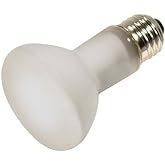 Satco Products 120-Volt 50-Watt R20 Frosted Light Bulb - 2 Pack