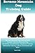 Bernese Mountain Dog Training Guide Bernese Mountain Dog Training Book Includes: Bernese Mountain Dog Socializing, Housetraining, Obedience Training, Behavioral Training, Cues & Commands and More