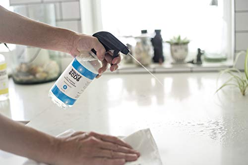 New Molly's Suds Natural All Purpose Cleaner, Multi Surface Household Spray, Peppermint Scent, 16 oz (2 Pack)