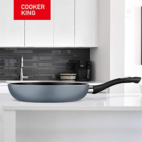 COOKER KING 10 Inch Nonstick Frying Pan PFOA/Toxin Free, Induction