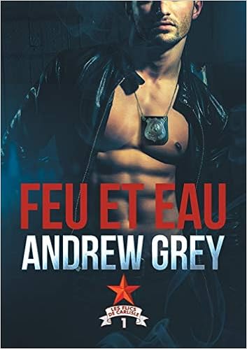 Feu Et Eau Les Flics De Carlisle French Edition Andrew