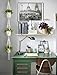 Mkono Macrame Plant Hanger 3 Tier Indoor Outdoor Hanging Planter Basket Cotton Rope with Beads 70 Inches