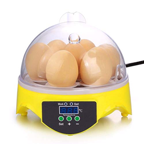 KALALY Egg Incubator Automatic Eggs Hatching,Digital High Efficiency Lighting Oscillation Function with Temperature Control Chicken Chick Hatcher