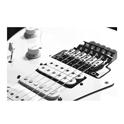 Ibanez JEMJR Steve Vai Signature 6String Electric Guitar (White