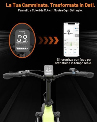 F20pro 4.0 Fat E Bike è una bicicletta elettrica da 250W con batteria da 48V freni idraulici funzione APP Città bici elettriche uomini e donne (F20PRO 20AH Nero)