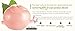 Ladykin Affinitic Snail Repair Cream Moisturizer - All In One Brightening and Recovery Power Korean Skin Care By BeautyFully.