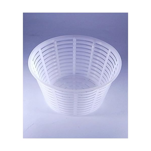 5 x Forma plastica per formaggio 12x6.3cm - 0.5kg – Forme e fuscelle | Forme formaggio