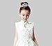 Lovelyshop Mini Heart Rhinestone Tiara for Wedding Bride Prom Birthday Pegeant Prinecess Party-1 Pack