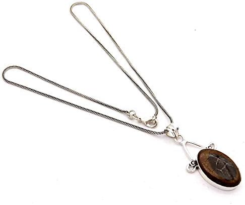 Goyal Crafts Natural Septarian Pendant Silver Plated Handcrafted Jewelry With Chain GPJ-73
