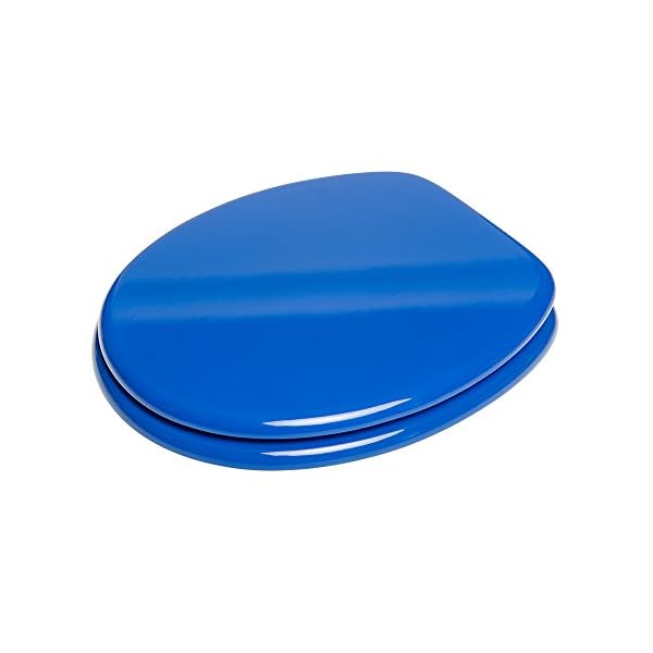 Blauer Toilettensitz mit Absenkautomatik Seitenansicht