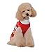Dog Sweater for Cat Cute Red Small Puppies Teacup Chihuahua Pet Winter Coat Cold Weather Clothes PUPTECK